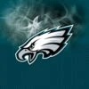KR Strikeforce NFL On Fire Towel Philadelphia Eagles 2 KR Strikeforce NFL On Fire Towel Philadelphia Eagles -Bowling Shop aa70dc43 9f16 41f5 876d 913f0f18b380