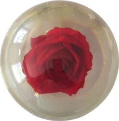 KR Strikeforce Clear Red Rose Ball -Bowling Shop cd5d37b4 48ea 453c 8e46 5a18d37685f1